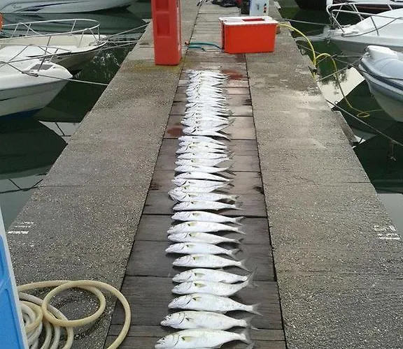 Casette Bianche Apartment Casalbordino